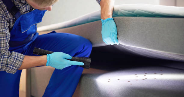 Best Best Pest Control Companies  in Palm Valley, TX