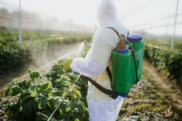 Best Emergency Pest Control  in Palm Valley, TX